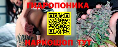 apvp Донской