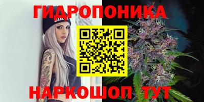 PSILOCYBIN Тверь