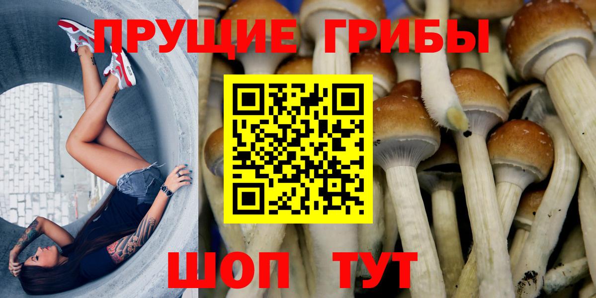 Псилоцибиновые грибы прущие грибы Москва